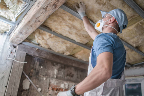 Best Insulation Installation Cost  in Azle, TX