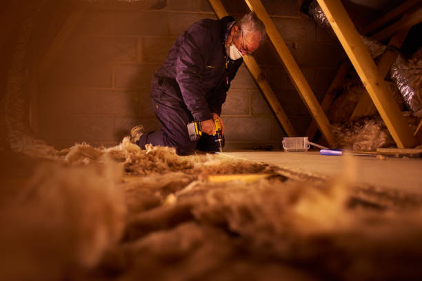 Best Crawl Space Insulation  in Azle, TX