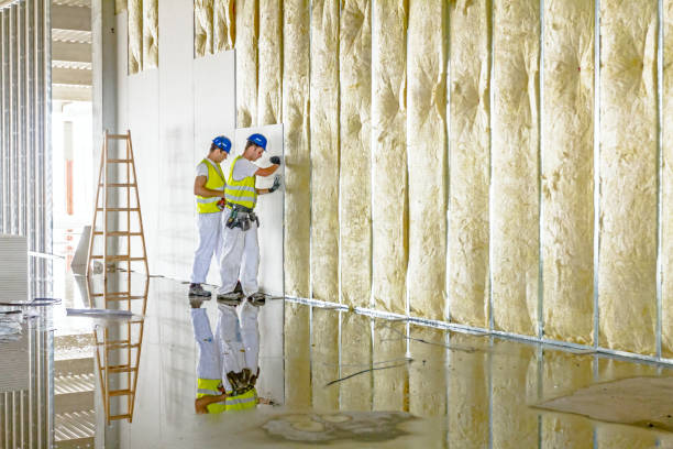 Best Spray Foam Insulation  in Azle, TX